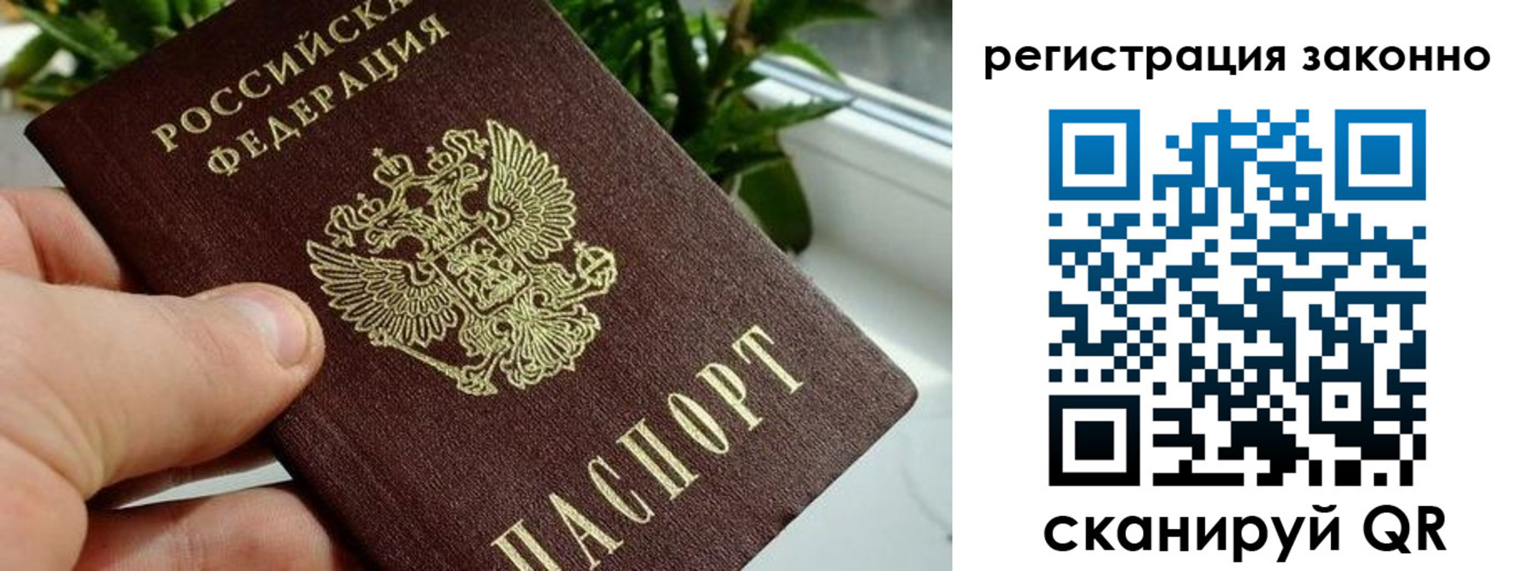 прописка гарантия в Перми